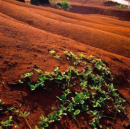 育碧否认刻意宣传正确文化 称要以玩家、玩法为中心